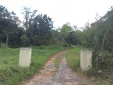 Mandeville MLS 18346, Manchester, Jamaica - Residential lot for Sale